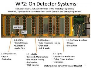 WP 2 On Detector Systems Delivers Sensors ASICs