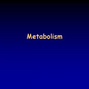 Metabolism Overview of metabolism 234 most vertebrates eat