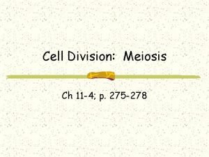 Cell Division Meiosis Ch 11 4 p 275