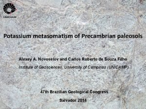 Potassium metasomatism of Precambrian paleosols Alexey A Novoselov