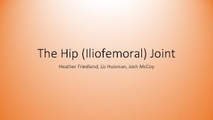 The Hip Iliofemoral Joint Heather Friedland Liz Huisman