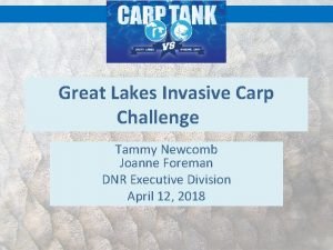 Great Lakes Invasive Carp Challenge Tammy Newcomb Joanne