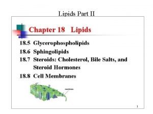 Lipids Part II Glycerophospholipids Glycerophospholipids Glycerophospholipids Glycerophospholipids Glycerophospholipids