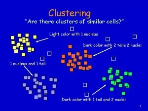 Clustering Are there clusters of similar cells Light