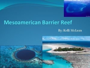 Mesoamerican Barrier Reef By Kelli Mc Lean About