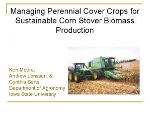Managing Perennial Cover Crops for Sustainable Corn Stover