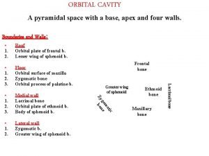 ORBITAL CAVITY A pyramidal space with a base