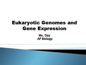 Eukaryotic Genomes and Gene Expression Ms Day AP