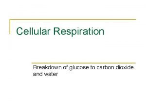 Coenzymes in cellular respiration