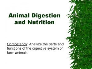 Animal Digestion and Nutrition Competency Analyze the parts