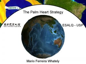 The Palm Heart Strategy ESALQ USP Tokyo University