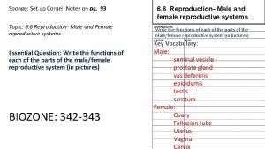 Female reproductive system label