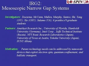 IRG 2 Mesoscopic Narrow Gap Systems Investigators Doezema