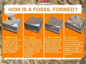 How is a fossil formed