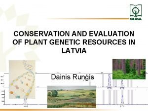 CONSERVATION AND EVALUATION OF PLANT GENETIC RESOURCES IN