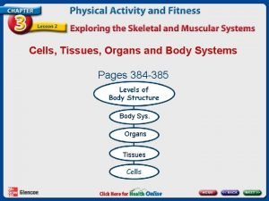 Cells Tissues Organs and Body Systems Pages 384