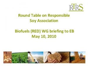 Roundtable on responsible soy