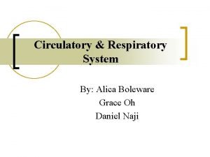 Circulatory Respiratory System By Alica Boleware Grace Oh
