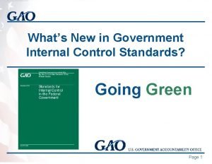Whats New in Government Internal Control Standards Going