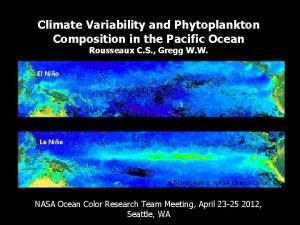 Climate Variability and Phytoplankton Composition in the Pacific