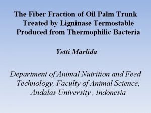 The Fiber Fraction of Oil Palm Trunk Treated
