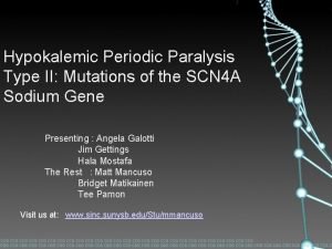 Hypokalemic Periodic Paralysis Type II Mutations of the