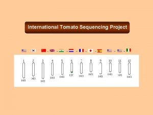 International Tomato Sequencing Project Indian Initiative on Tomato