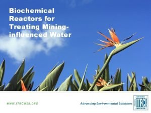 Biochemical Reactors for Treating Mininginfluenced Water ITRC BCR