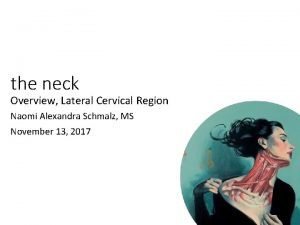 Neck lymph nodes levels
