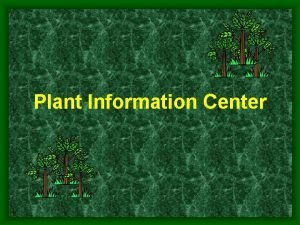 Plant Information Center PIC Team Principal Investigators Evelyn