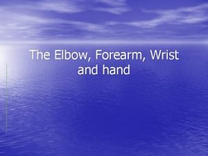 The Elbow Forearm Wrist and hand Main Anatomy