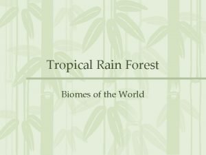 Tropical Rain Forest Biomes of the World Location