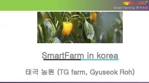 Smart Farming Smart Farm in korea TG farm