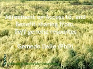 Agreement on Access to and Benefitsharing from Teff