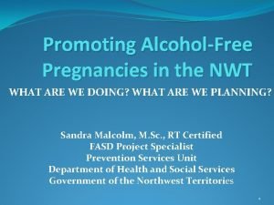 Promoting AlcoholFree Pregnancies in the NWT WHAT ARE