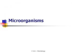 Microorganisms C 5 01 Microbiology Microbiology n n