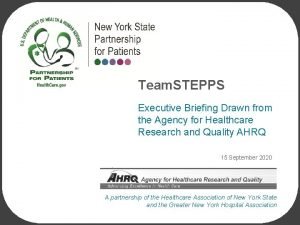 Team STEPPS Executive Briefing Drawn from the Agency