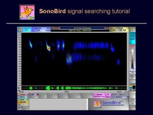 Sono Bird signal searching tutorial Search basics To