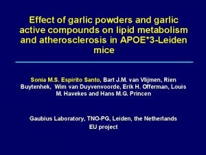 Effect of garlic powders and garlic active compounds