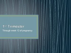 1 st Trimester Through week 12 of pregnancy