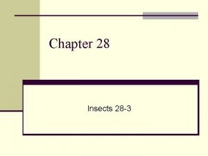 Chapter 28 Insects 28 3 I Insects n
