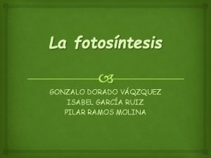 Fotosistema lorca