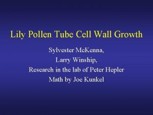 Lily Pollen Tube Cell Wall Growth Sylvester Mc