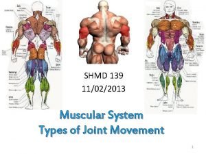 SHMD 139 11022013 Muscular System Types of Joint