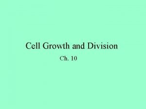 Cell Growth and Division Ch 10 Cell Size