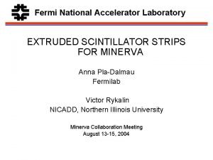 Minerva pla Minerva pla