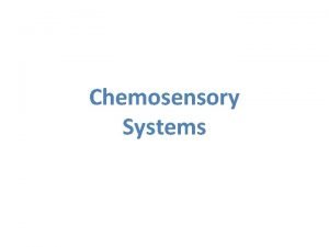 Chemosensory Systems Flavor Perception Olfaction Taste Texture Temperature