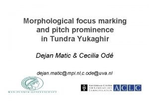 Morphological focus marking and pitch prominence in Tundra