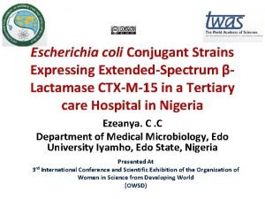 Escherichia coli Conjugant Strains Expressing ExtendedSpectrum Lactamase CTXM15