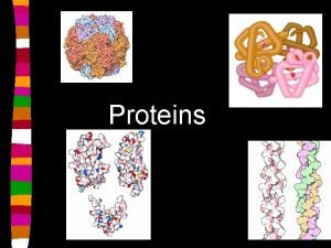 Proteins 2005 2006 6 proteins 1 contain C